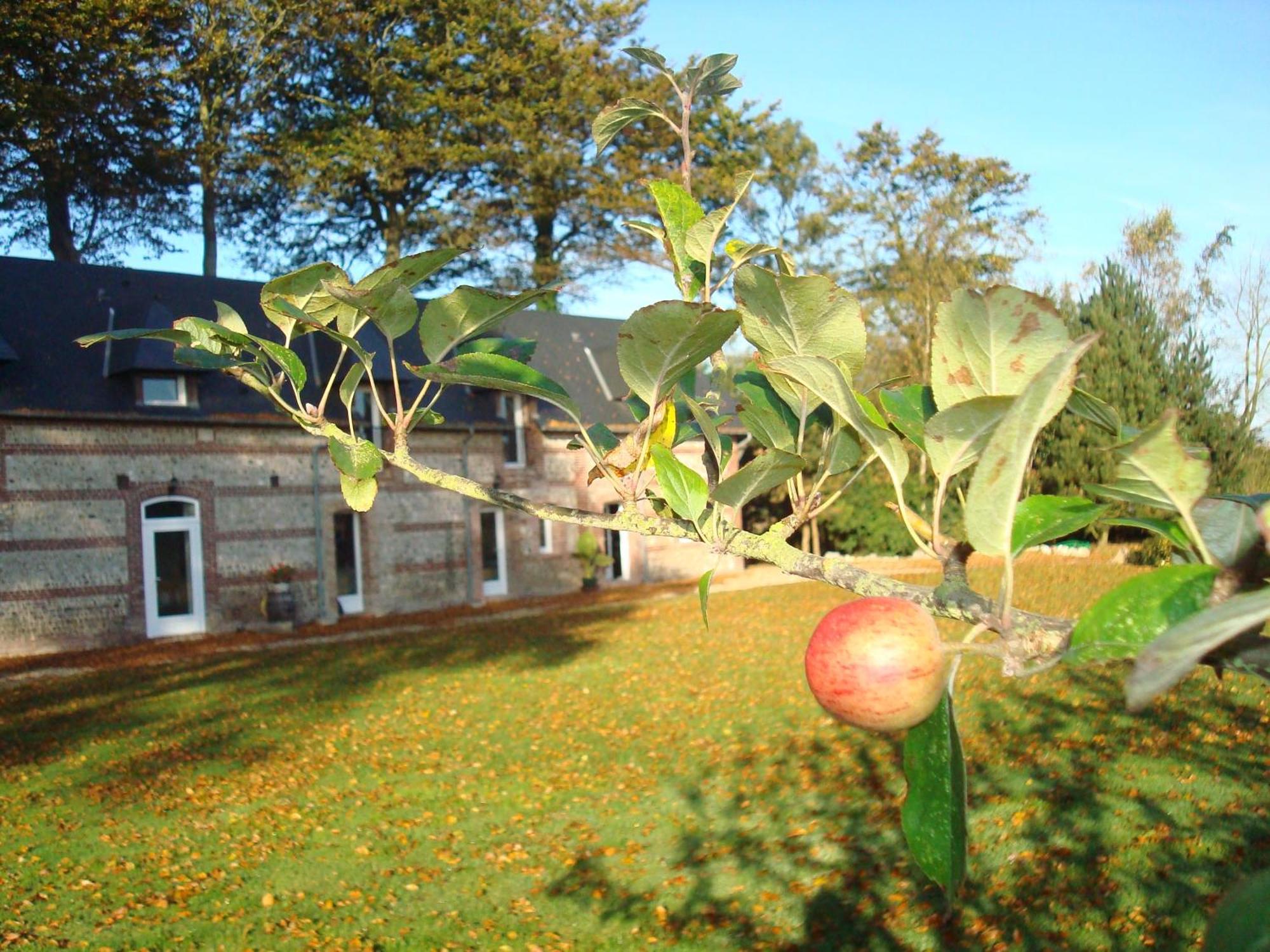 Maison De Vacances Clos Des Hogues Entre Etretat Et Fecamp Saint-Léonard מראה חיצוני תמונה