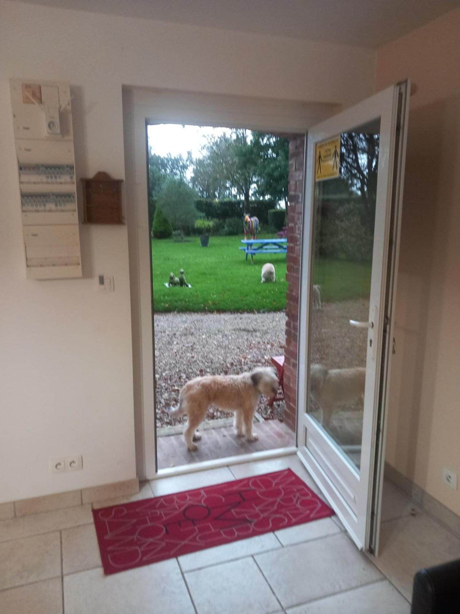 Maison De Vacances Clos Des Hogues Entre Etretat Et Fecamp Saint-Léonard מראה חיצוני תמונה