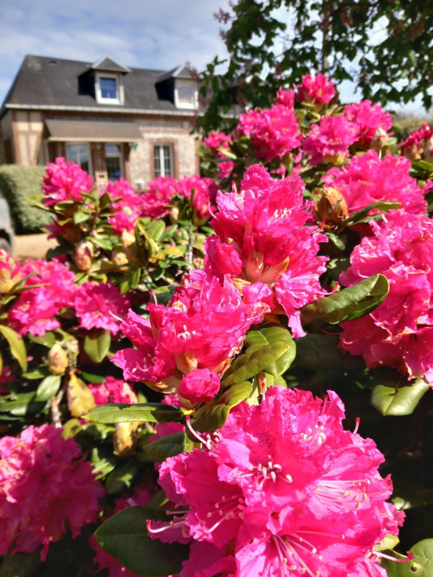 Maison De Vacances Clos Des Hogues Entre Etretat Et Fecamp Saint-Léonard מראה חיצוני תמונה